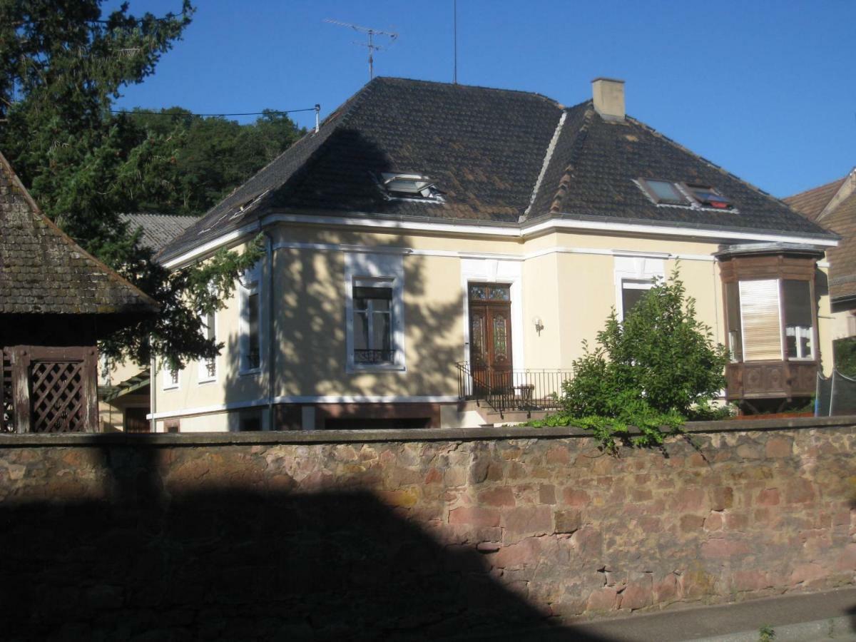 Appartement Et Gite Chez L'Habitant Guebwiller Buitenkant foto