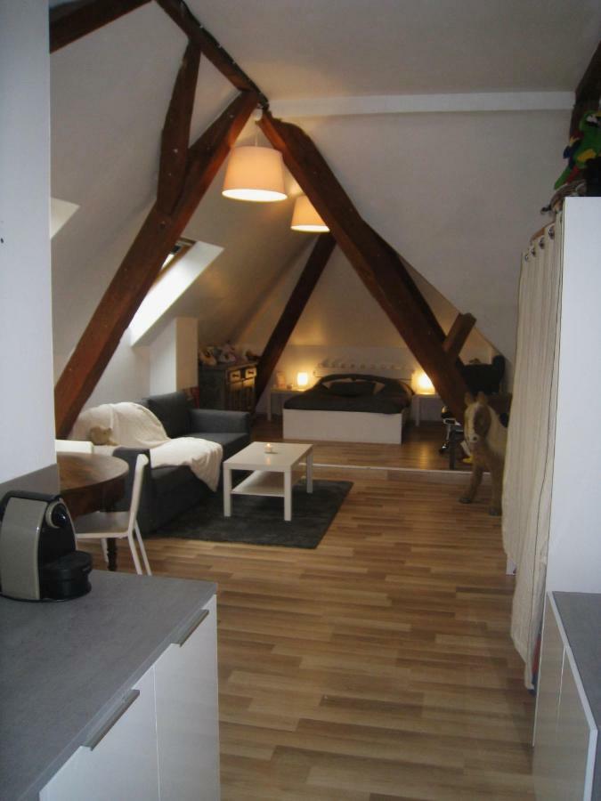 Appartement Et Gite Chez L'Habitant Guebwiller Buitenkant foto